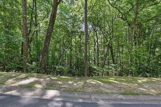 0 Plum Lane, Clarkesville, GA 30523