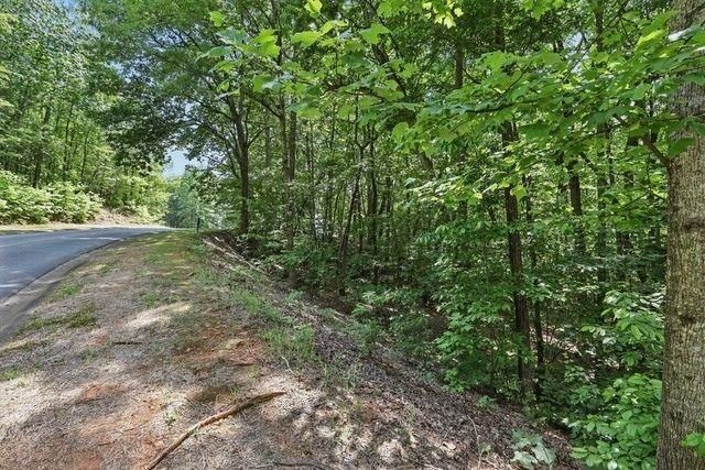0 Plum Lane, Clarkesville, GA 30523