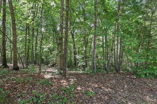0 Plum Lane, Clarkesville, GA 30523