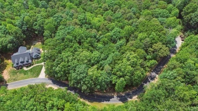0 Plum Lane, Clarkesville, GA 30523