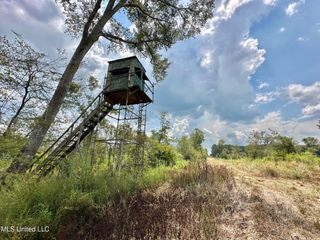 5 Dry Grove Road, Terry, MS 39170