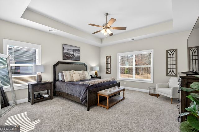 295 Walden Pond Trail, Senoia, GA 30276