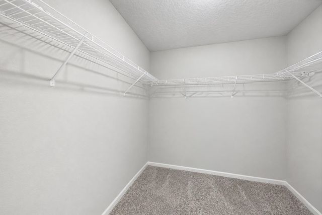 363 Ardila Circle, St Augustine, FL 32084