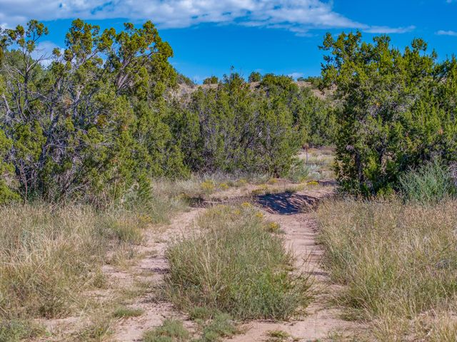 43 Calle Cielo, Santa Fe, NM 87506