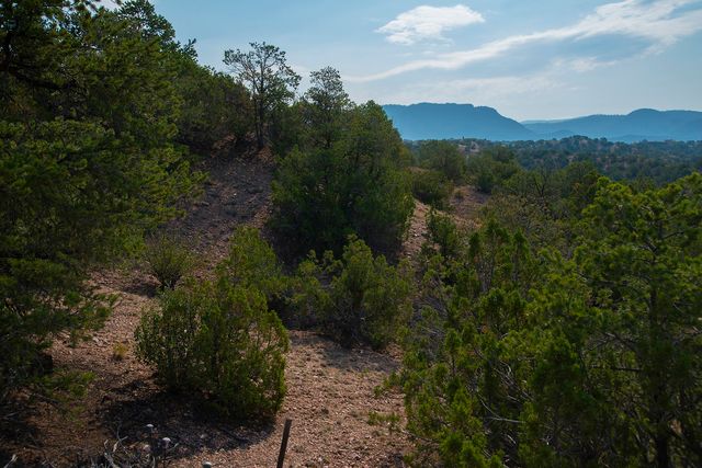 43 Calle Cielo, Santa Fe, NM 87506