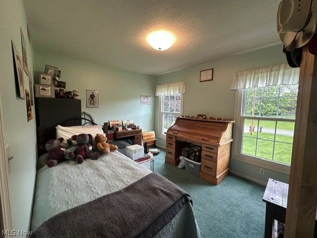 149 Mapleview Court, New Middletown, OH 44442