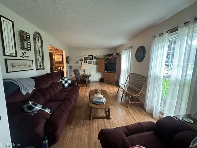 149 Mapleview Court, New Middletown, OH 44442