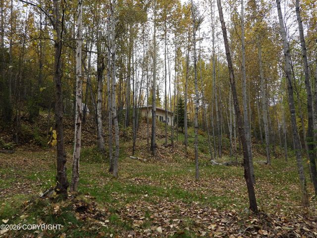 19311 Jasmine Road, Chugiak, AK 99567