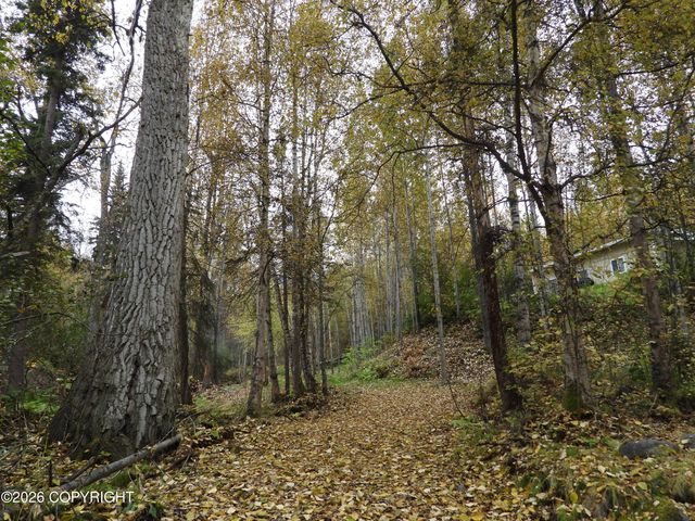 19311 Jasmine Road, Chugiak, AK 99567