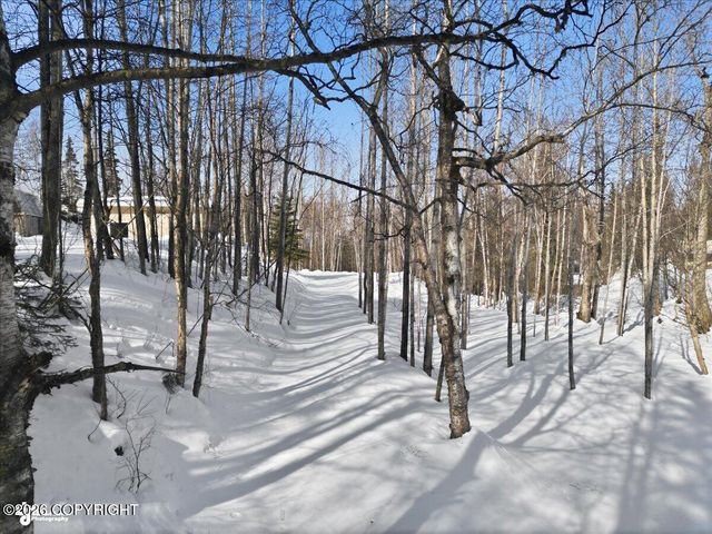 19311 Jasmine Road, Chugiak, AK 99567