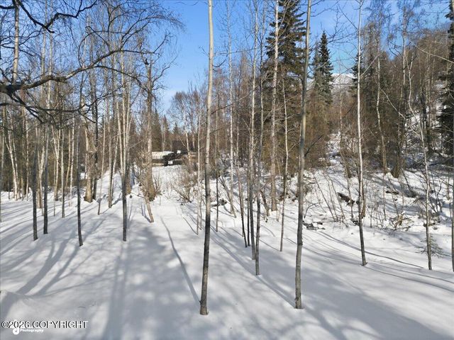 19311 Jasmine Road, Chugiak, AK 99567