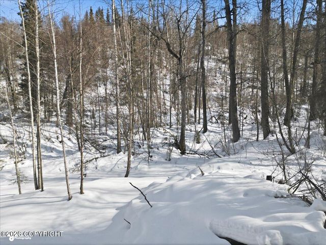19311 Jasmine Road, Chugiak, AK 99567