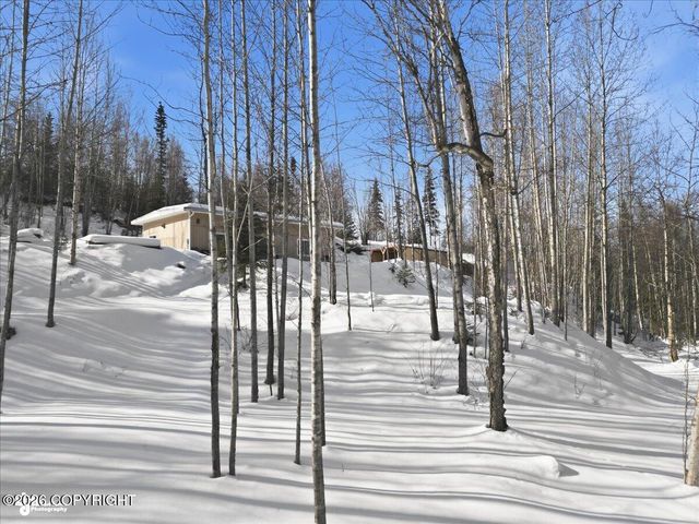 19311 Jasmine Road, Chugiak, AK 99567