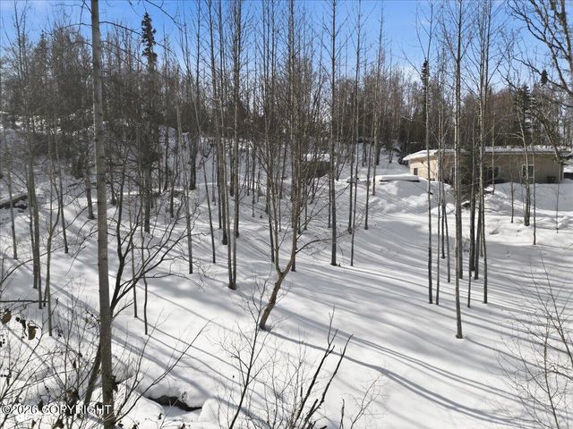 19311 Jasmine Road, Chugiak, AK 99567