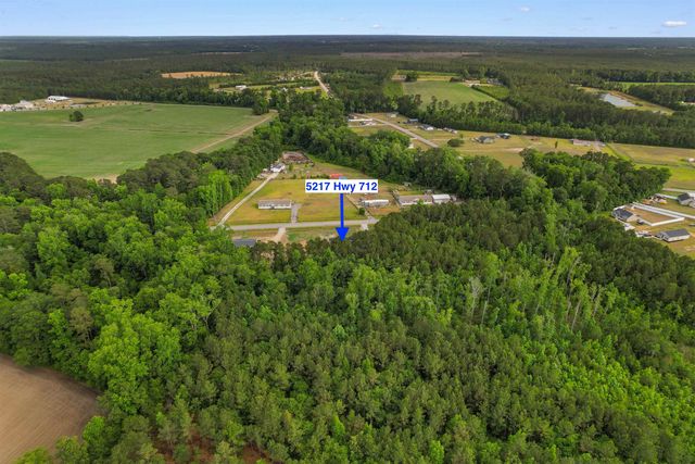 5217 Hwy 712, Galivants Ferry, SC 29544