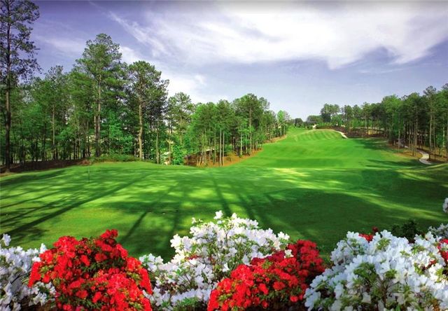 1066 Carl Sanders Drive, Acworth, GA 30101