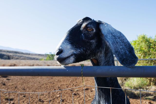 182 Hoomaikai Pl Unit B, Kula, HI 96790