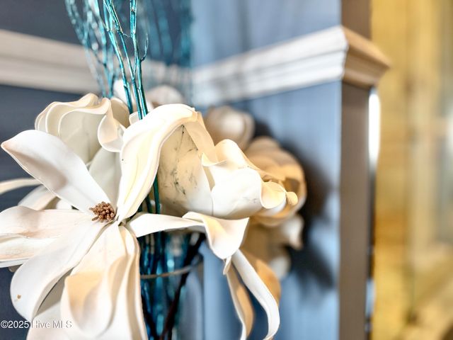 4425 Arendell Street 609, Morehead City, NC 28557