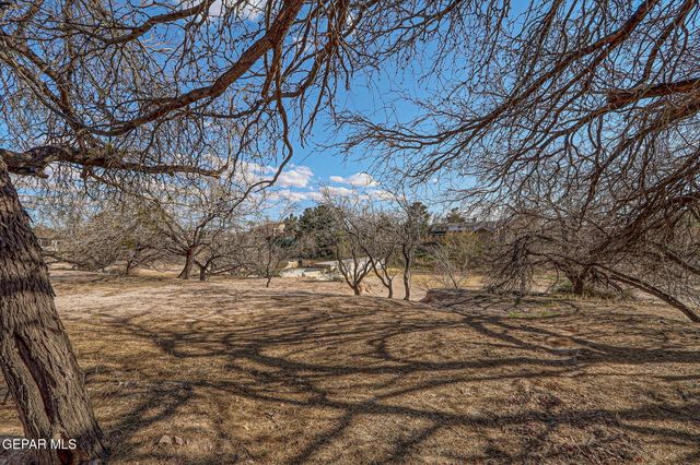 9517 DESERT HILLS Lane, El Paso, TX 79925