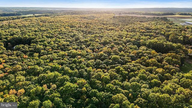 0 OLD PLANK RD, Locust Grove, VA 22508