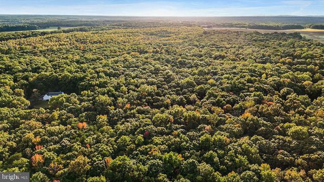 0 OLD PLANK RD, Locust Grove, VA 22508