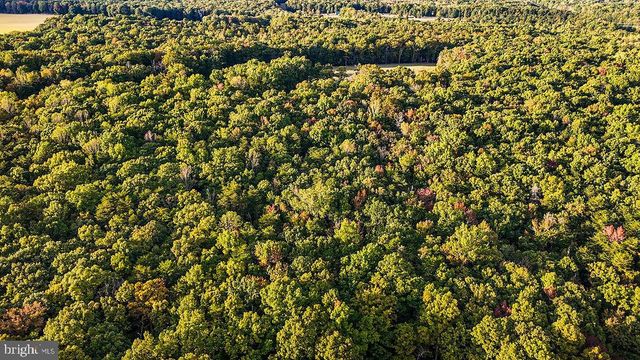 0 OLD PLANK RD, Locust Grove, VA 22508