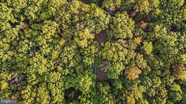 0 OLD PLANK RD, Locust Grove, VA 22508