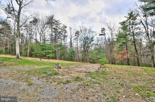 235 PEPPERMINT SPRING LN, Winchester, VA 22603