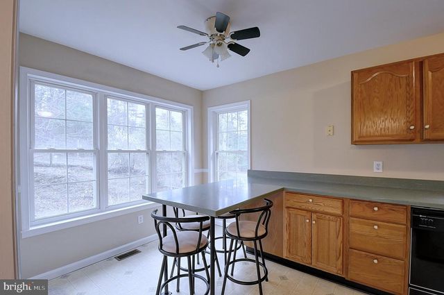 235 PEPPERMINT SPRING LN, Winchester, VA 22603