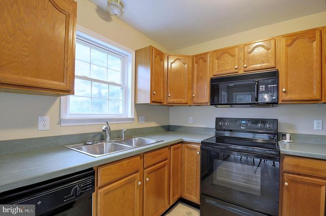 235 PEPPERMINT SPRING LN, Winchester, VA 22603