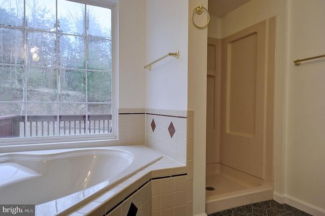 235 PEPPERMINT SPRING LN, Winchester, VA 22603