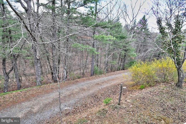 235 PEPPERMINT SPRING LN, Winchester, VA 22603