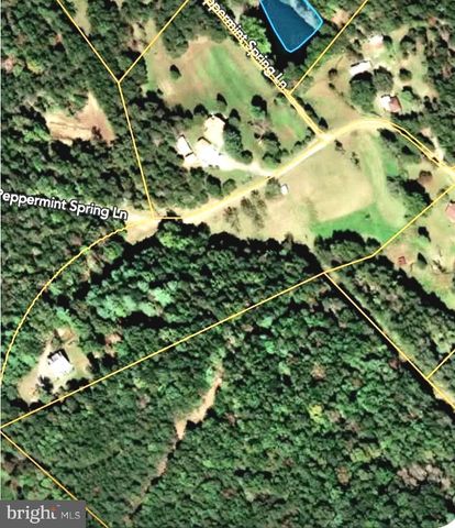 235 PEPPERMINT SPRING LN, Winchester, VA 22603