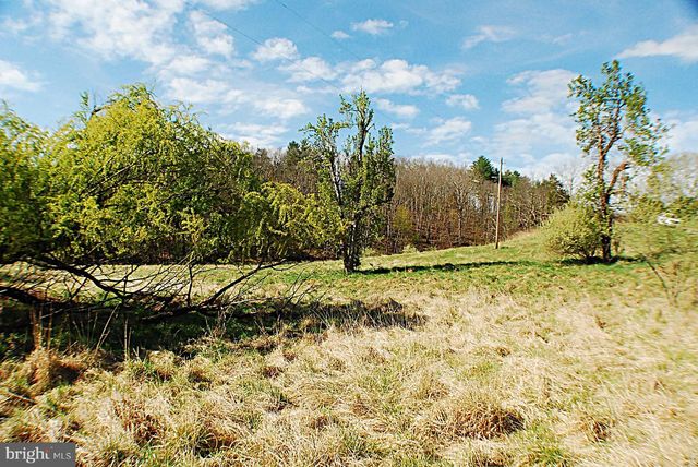235 PEPPERMINT SPRING LN, Winchester, VA 22603