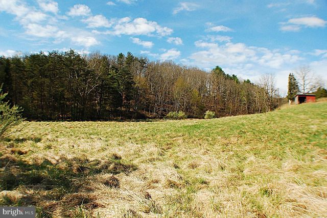 235 PEPPERMINT SPRING LN, Winchester, VA 22603