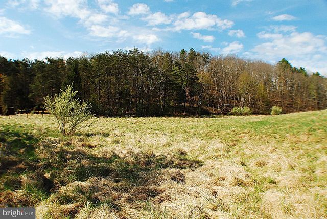 235 PEPPERMINT SPRING LN, Winchester, VA 22603