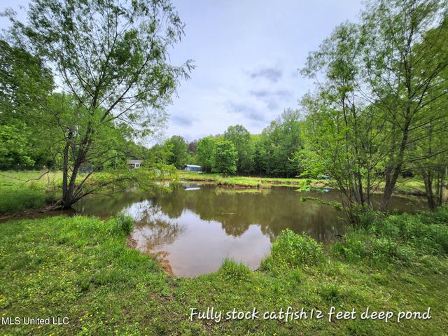 384 Battle Road, Byhalia, MS 38611