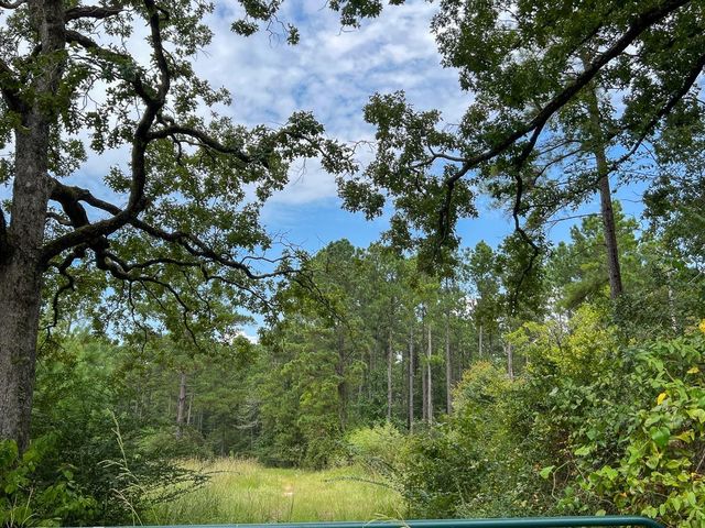 37 Highway 94 Road, Groveton, TX 75845