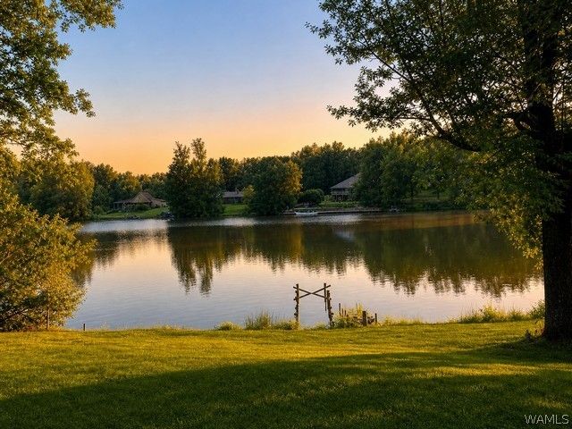 13114 Lake Arnedra, Coker, AL 35452