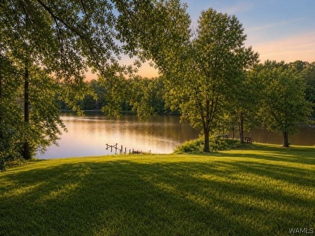 13114 Lake Arnedra, Coker, AL 35452