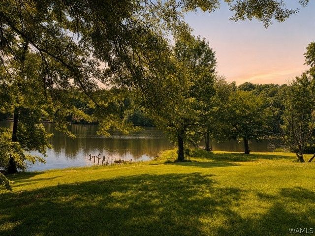 13114 Lake Arnedra, Coker, AL 35452