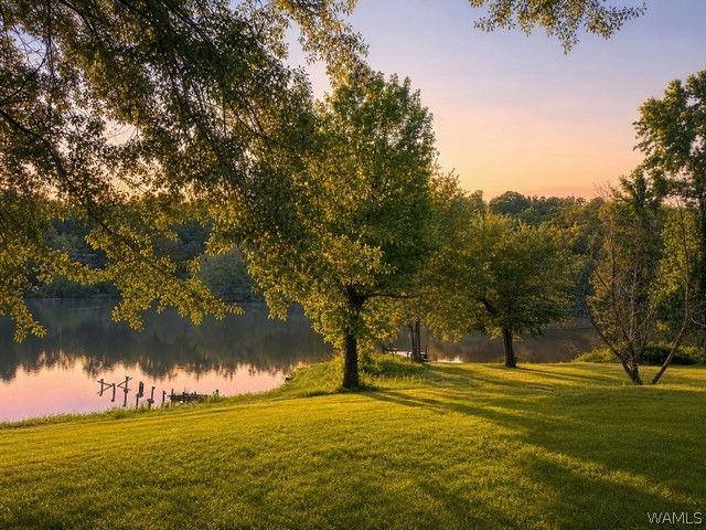 13114 Lake Arnedra, Coker, AL 35452