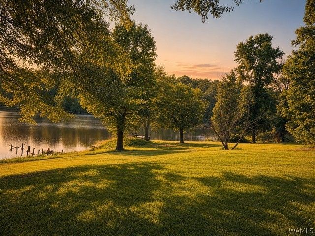 13114 Lake Arnedra, Coker, AL 35452