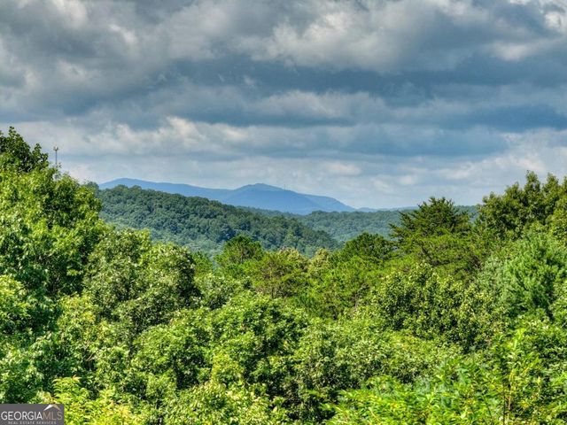 85 Squirrel Chase, Morganton, GA 30560