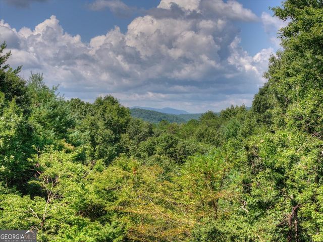 85 Squirrel Chase, Morganton, GA 30560