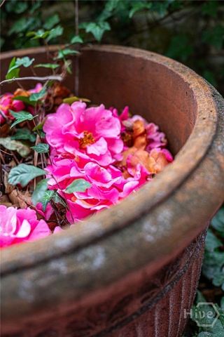 9204 Melody Drive, Savannah, GA 31406