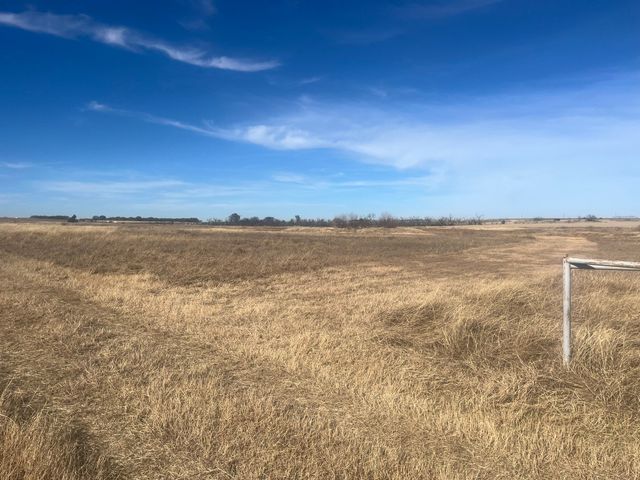 436 County Line Road Tract 2, Bowie, TX 76230