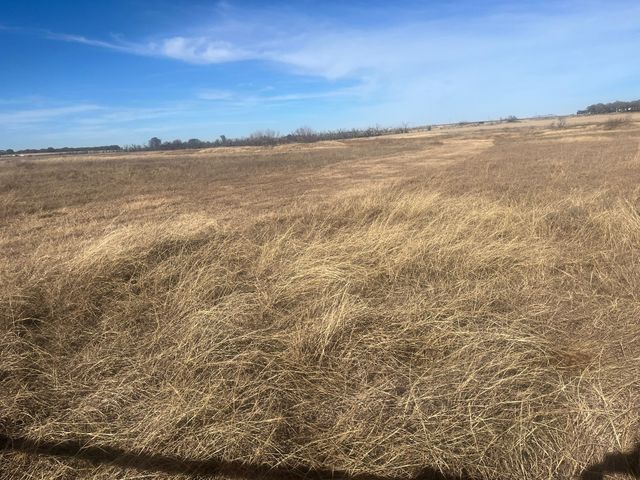 436 County Line Road Tract 2, Bowie, TX 76230