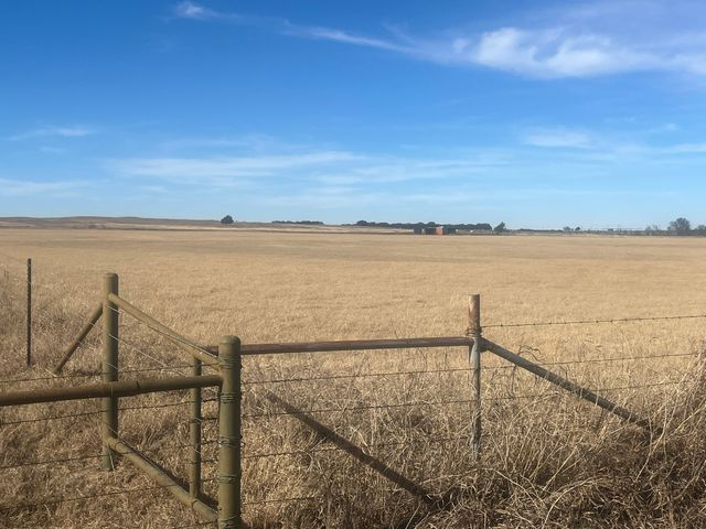 436 County Line Road Tract 2, Bowie, TX 76230