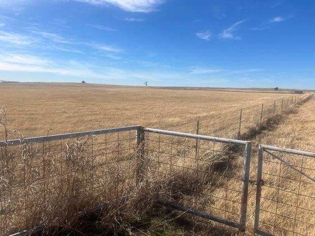 436 County Line Road Tract 2, Bowie, TX 76230